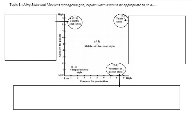 Topic 1: Using Blake and Moutons managerial grid,
