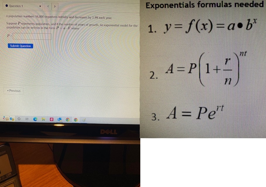 Question 1 Exponentials formulas needed A