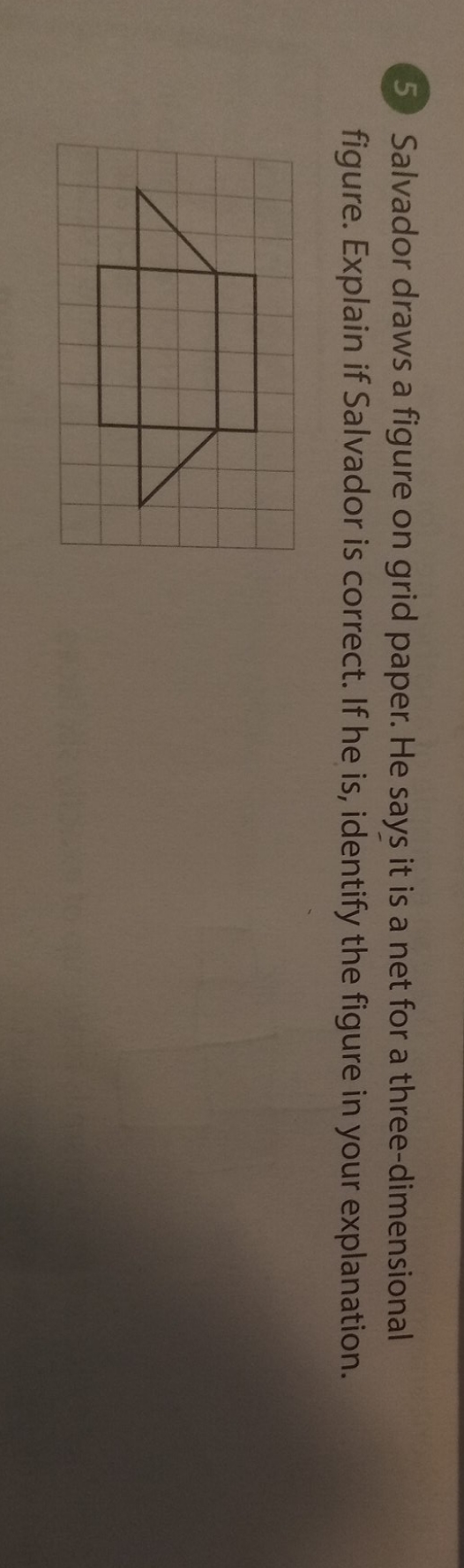 step by step Salvador draws a figure on grid