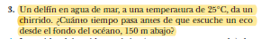 3. Un delfin en agua de mar, a una temperatura de