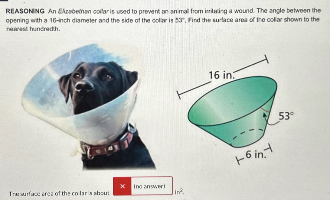 REASONING An Elizabethan collar is used to