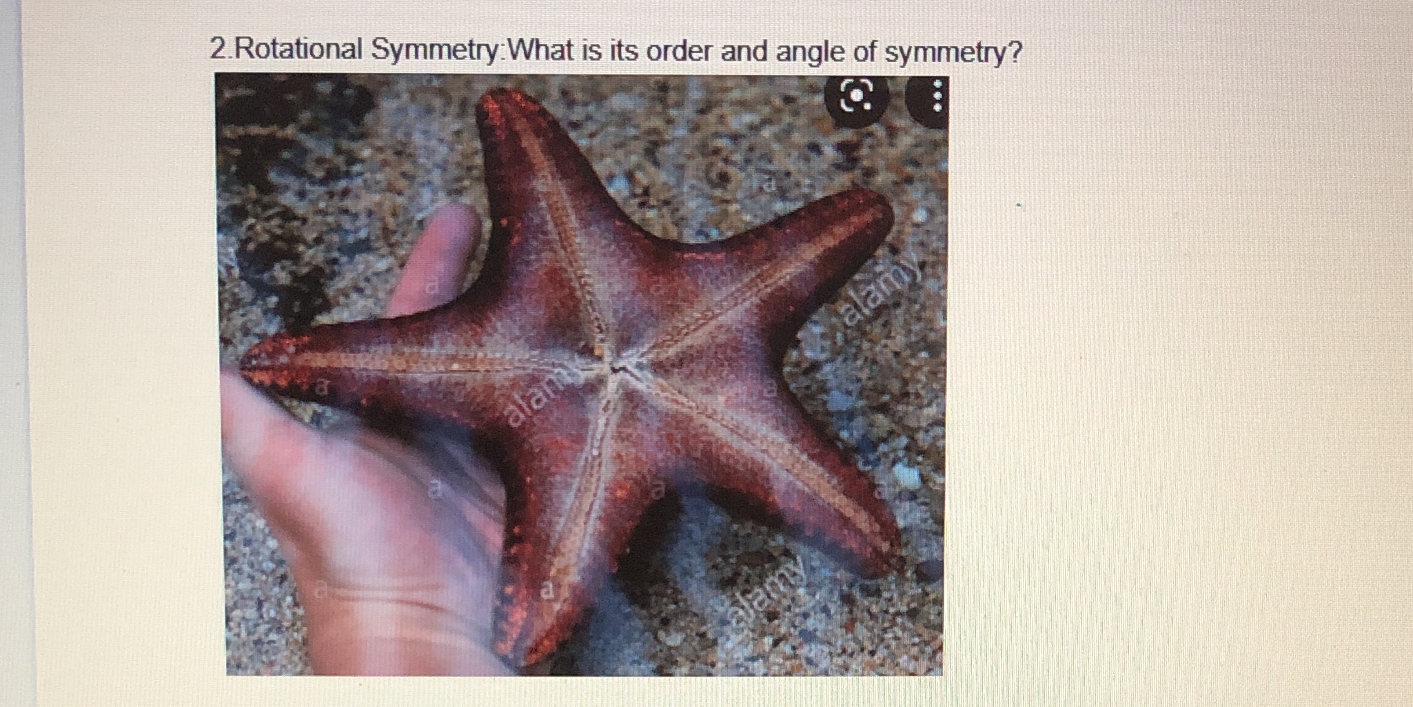 2. Rotational Symmetry:What is its order and