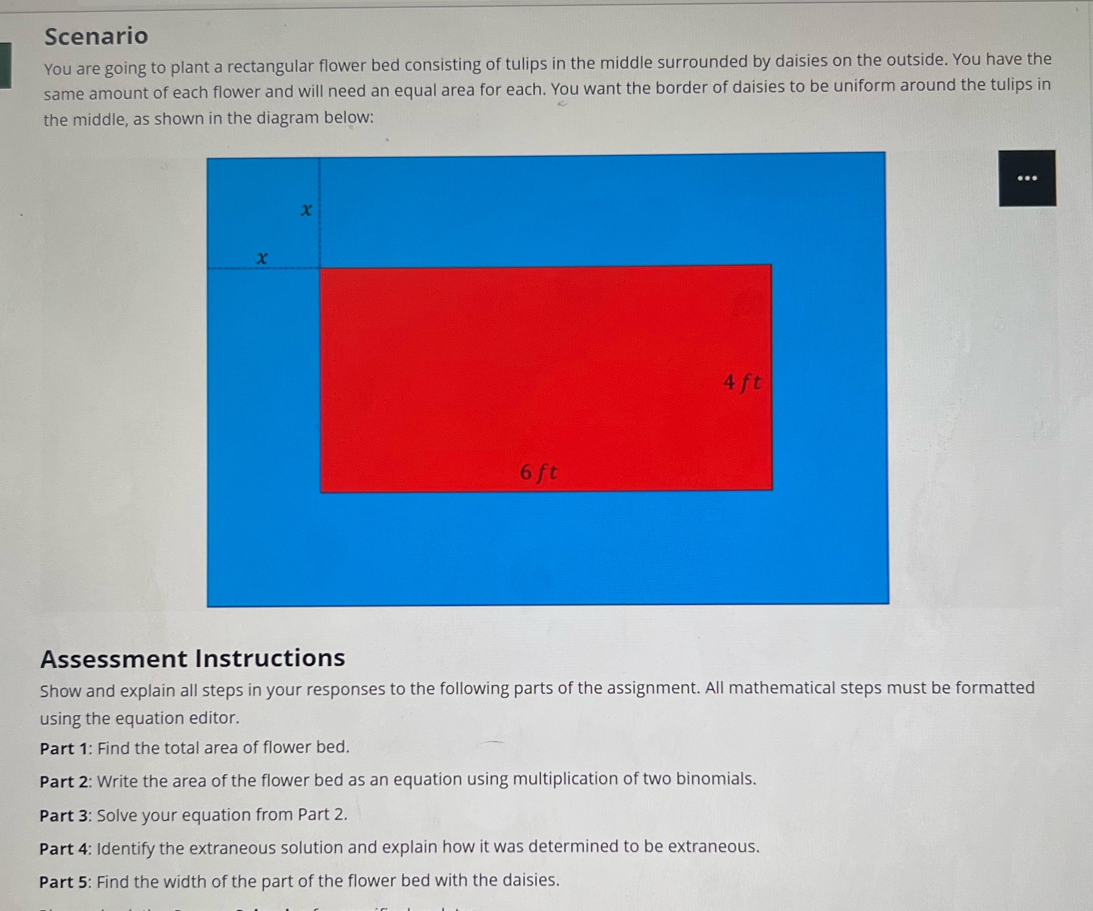 Scenario You are going to plant a rectangular