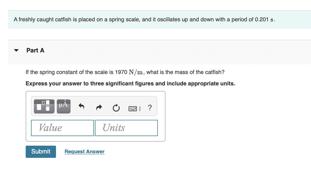 A freshly caught catfish is placed on a spring
