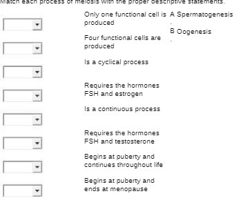 March each process of melosis with the proper