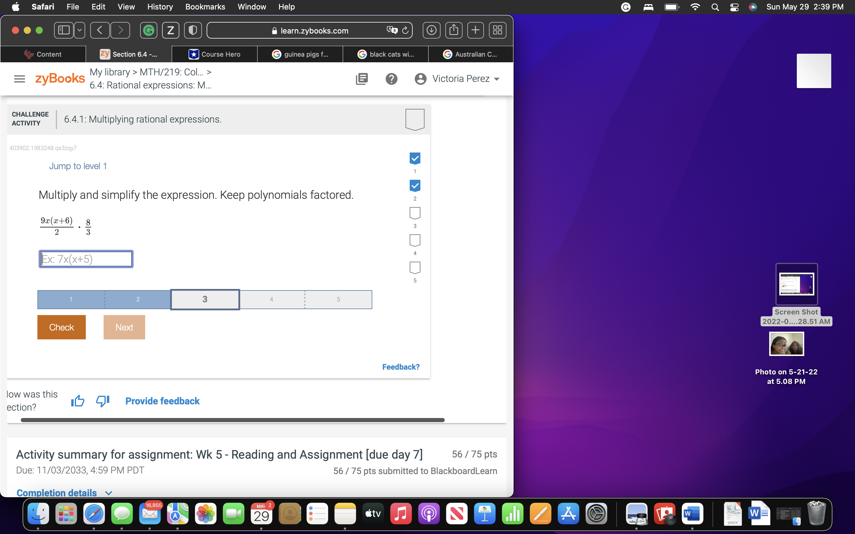 Safari File Edit View History Bookmarks Window