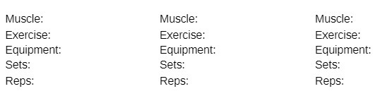 Muscle: Muscle: Muscle: Exercise: Exercise: