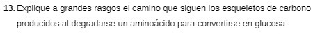 13. Explique a grandes rasgos el camino que
