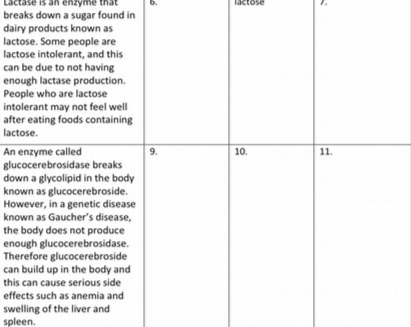 Lactase is an enzyme that breaks down a sugar