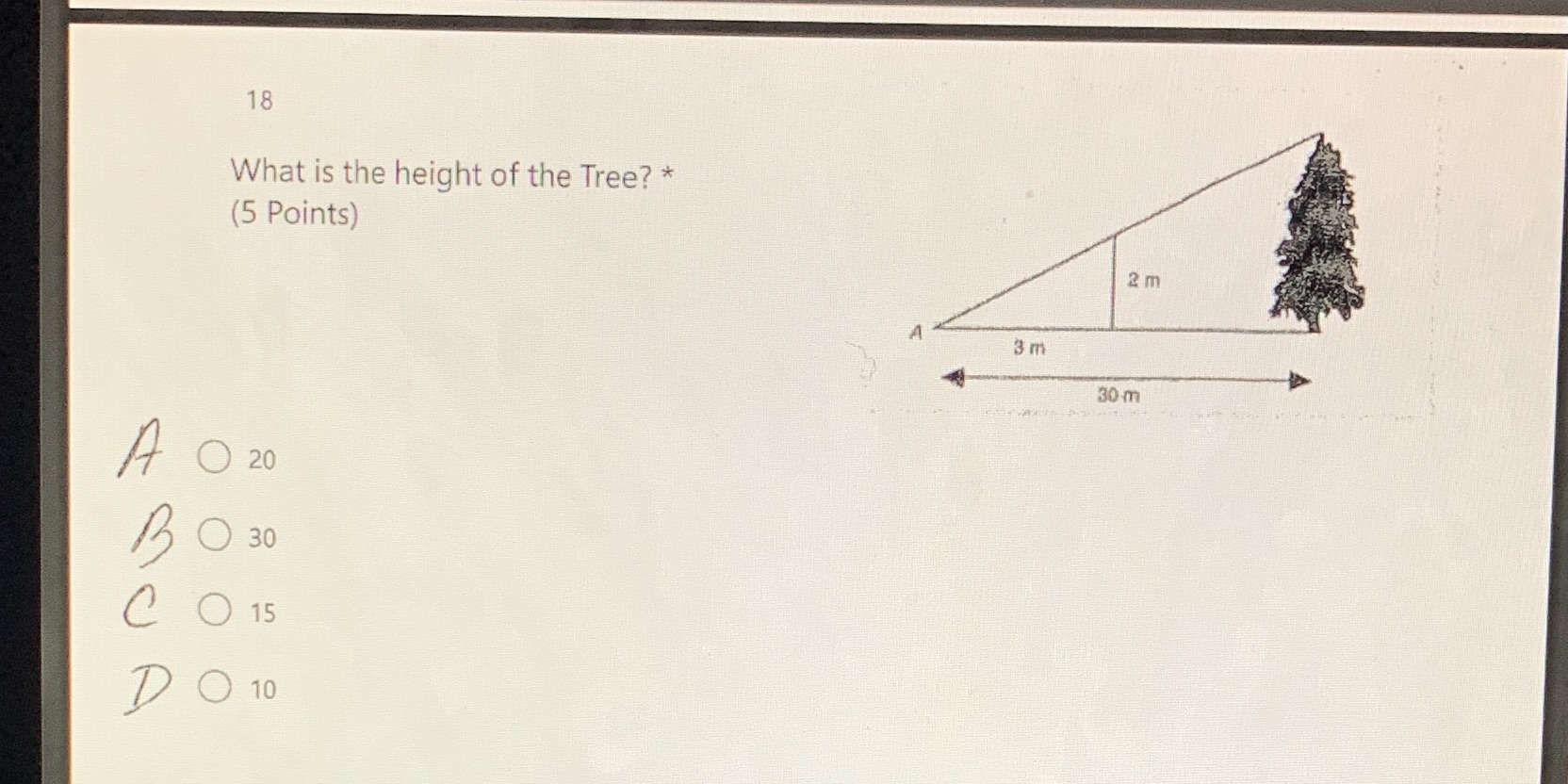 I need help 18 What is the height of the Tree? *