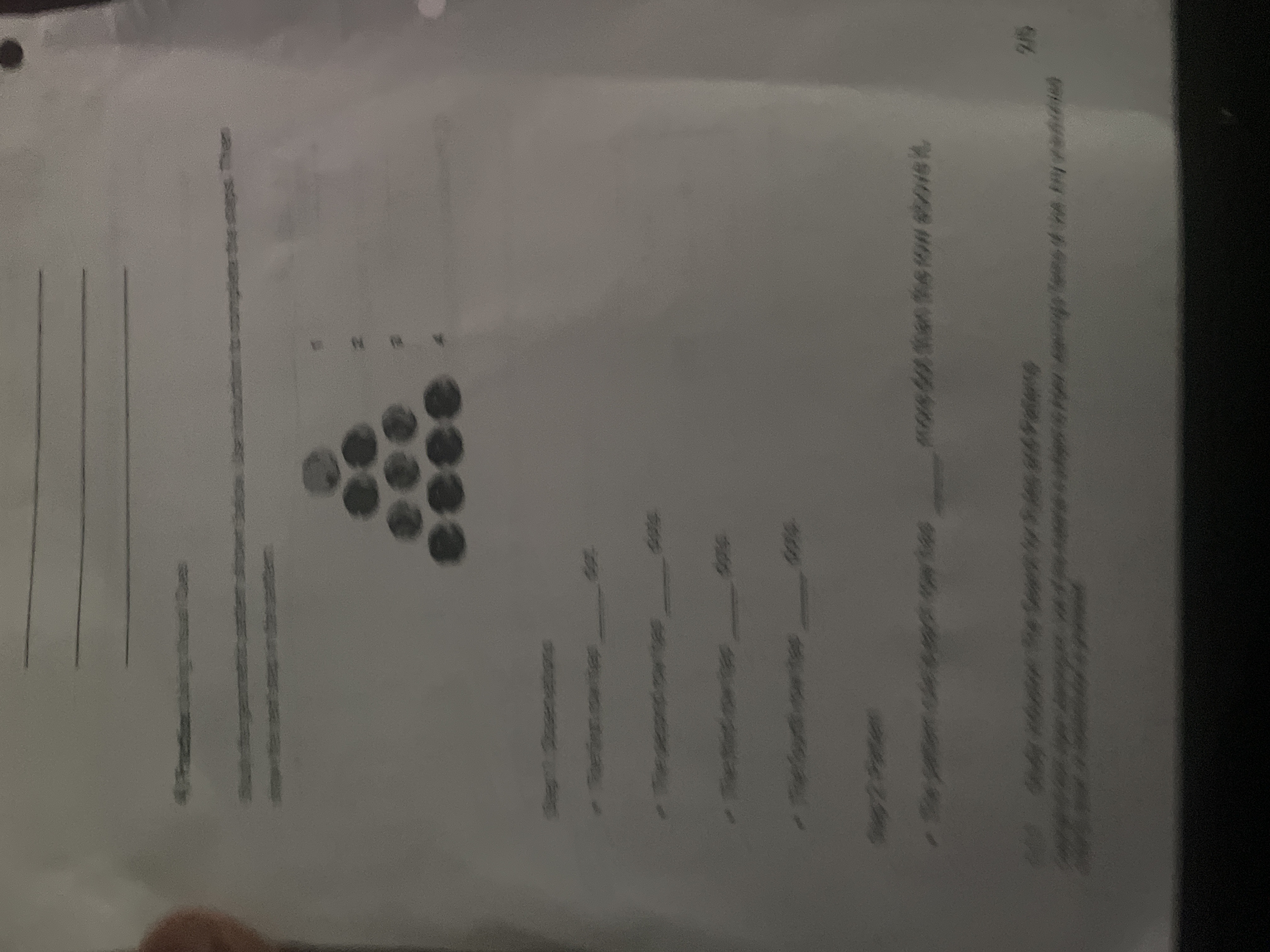 \fGIU MOTT Liqson. Yox To Xos qee style=