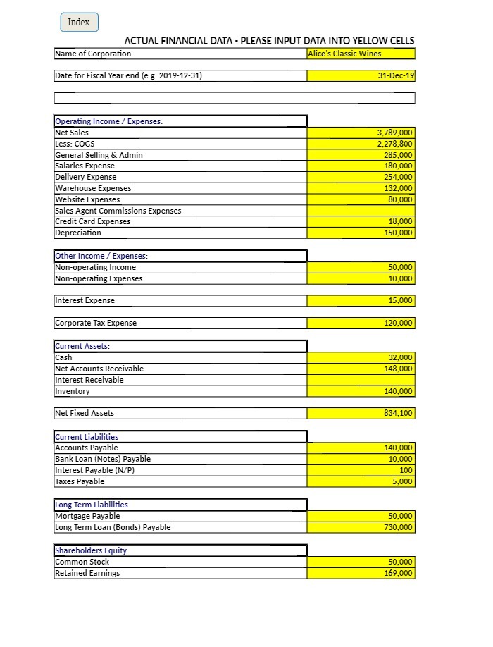 Index ACTUAL FINANCIAL DATA - PLEASE INPUT DATA