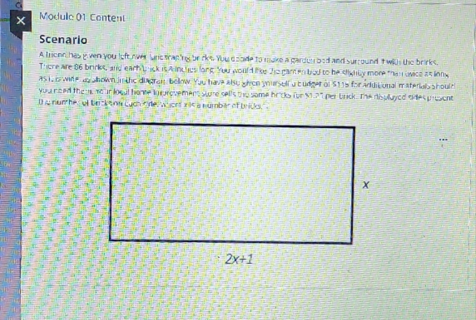 garden bed equation X Module 01 Content Scenario