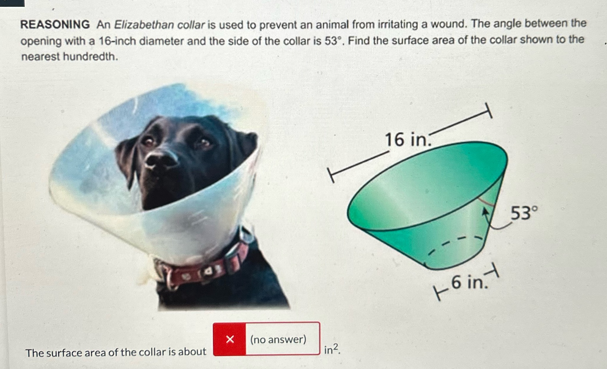 REASONING An Elizabethan collar is used to