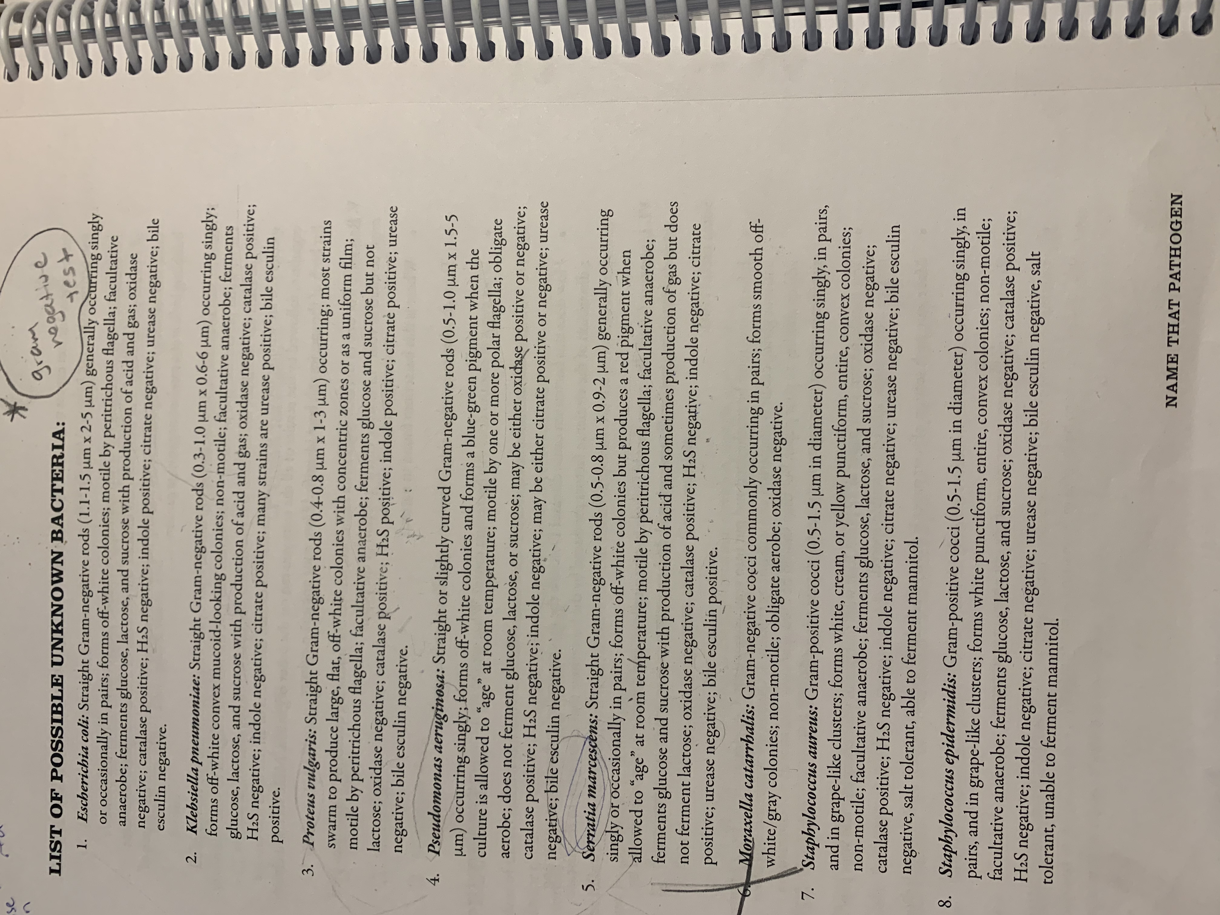 (gram positive test # 14 Enterococcus