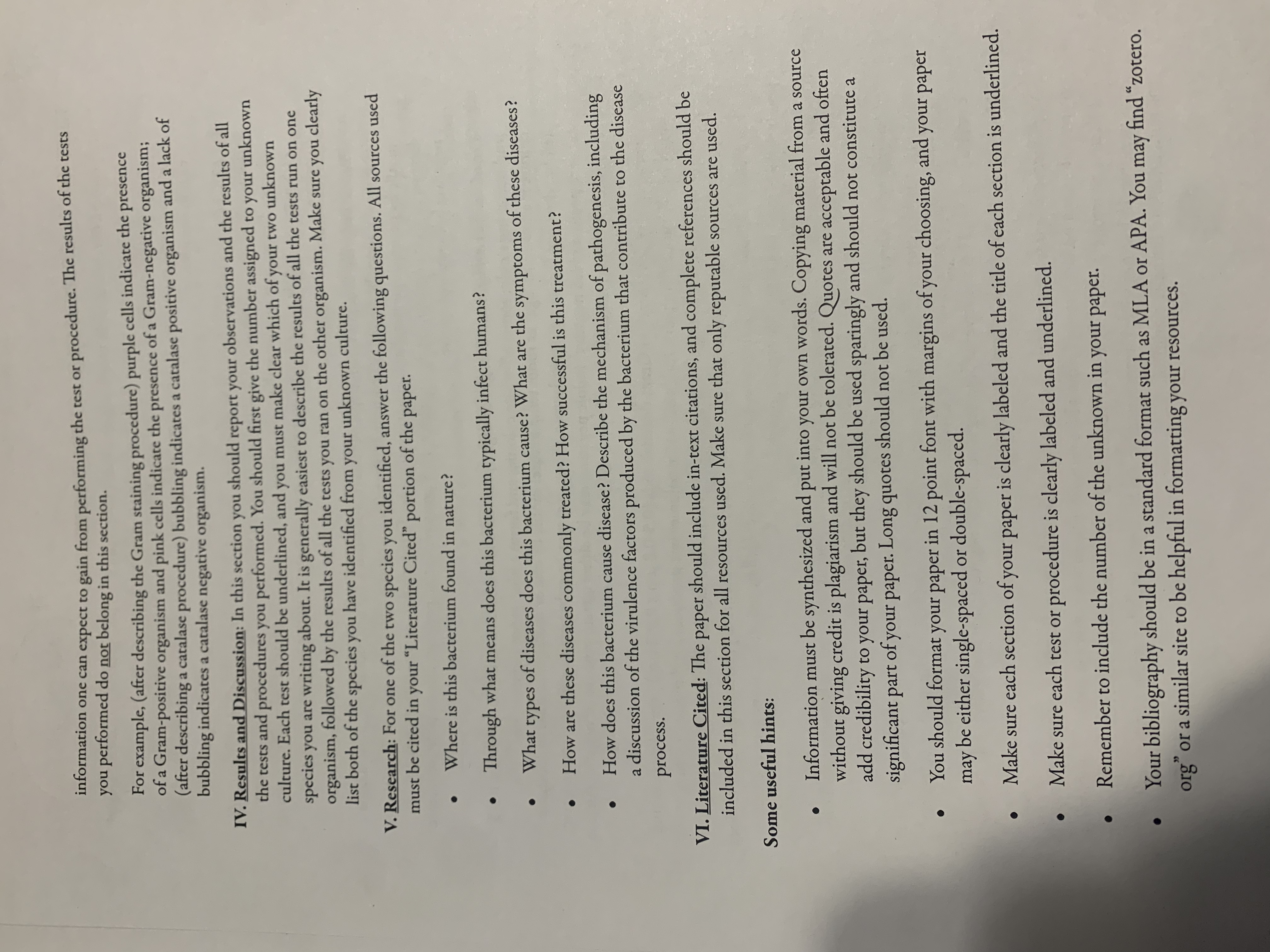 (gram positive test # 14 Enterococcus