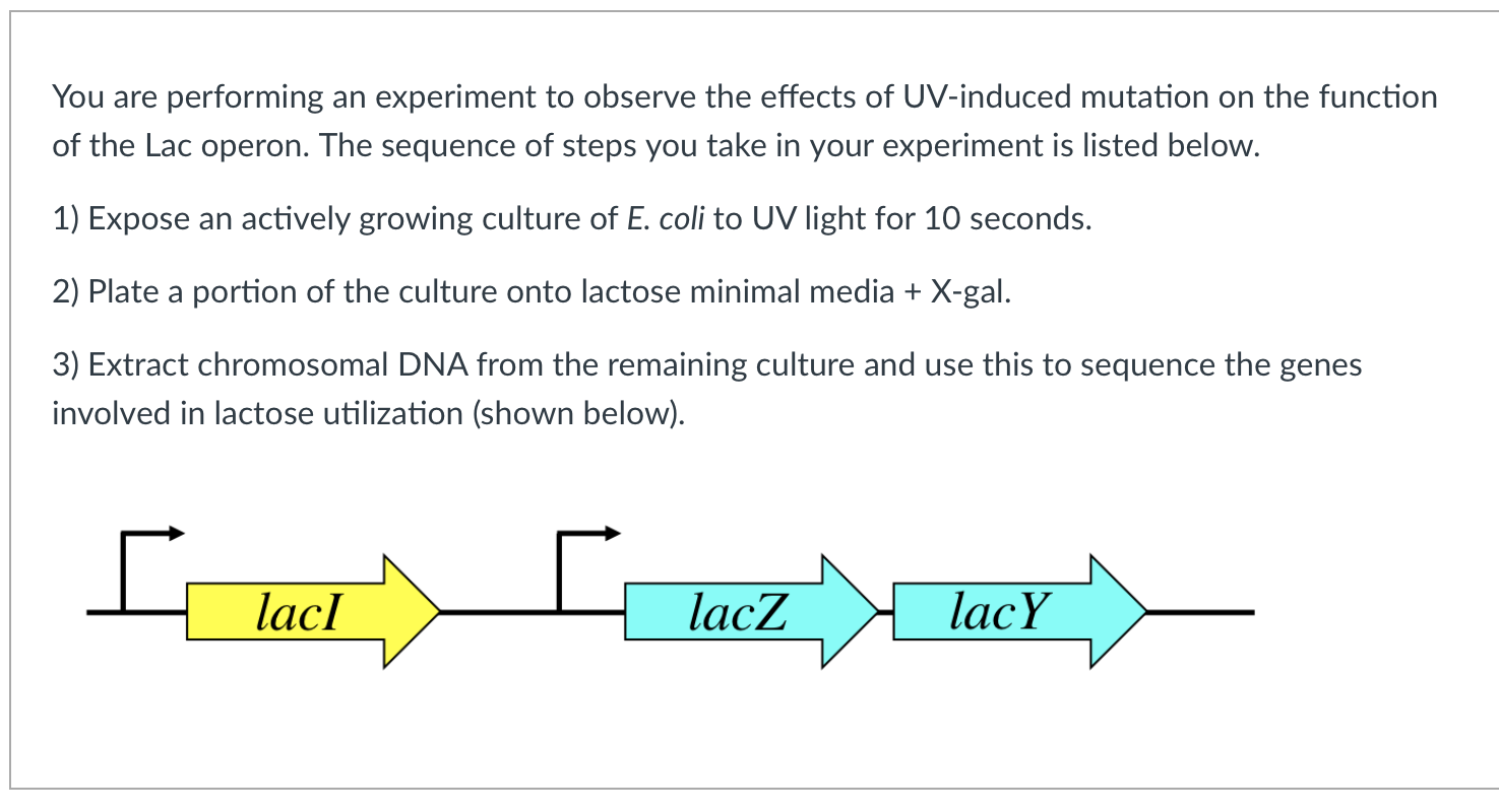 You are performing an experiment to observe the