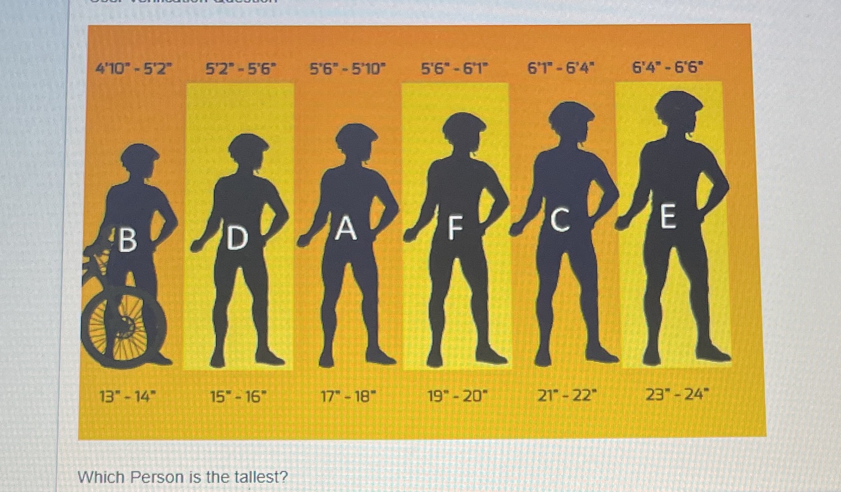 Who is the tallest? \f