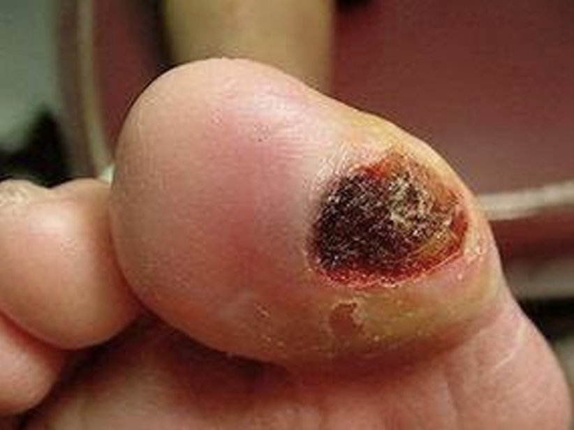 May we introduce Gerald French. He has recently