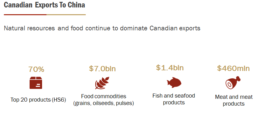 READ THE SUMMARY AND THEN ANSWER THE QUESTION .