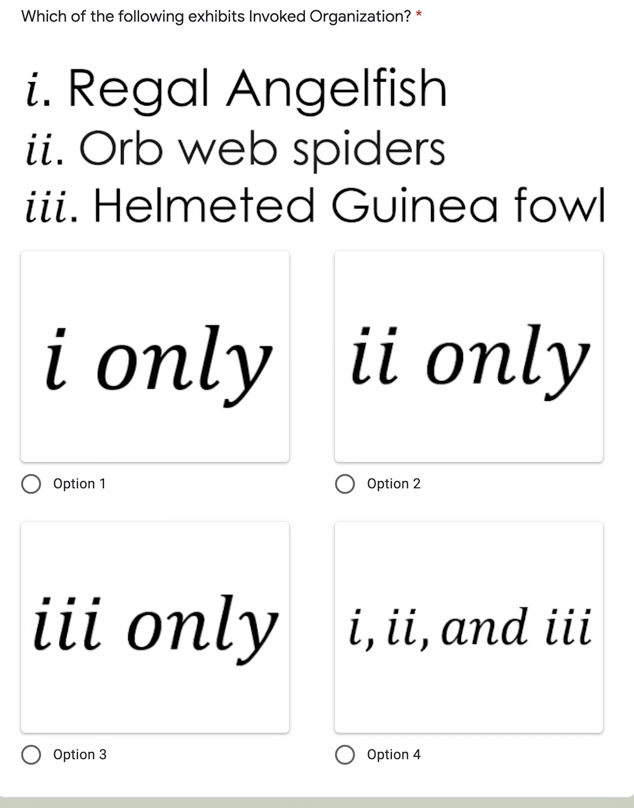 INSTRUCTION: MULTIPLE CHOICE. CHOOSE THE CORRECT