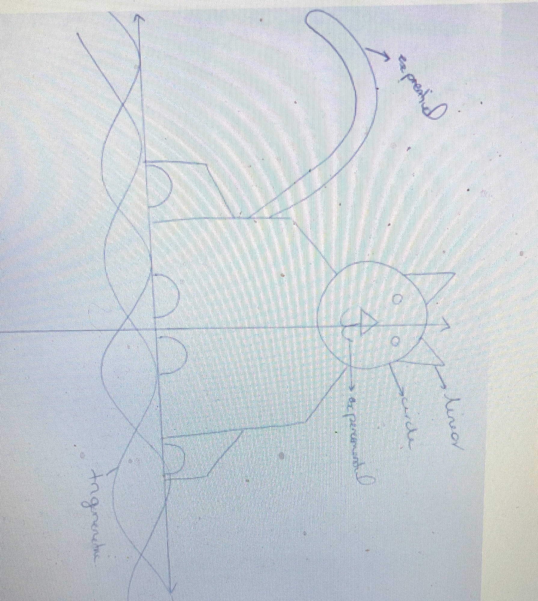 Goal of the Assignment You will create an