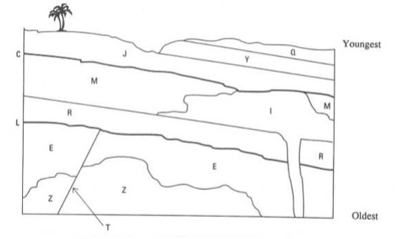 Youngest Y M M m m N Z Oldest T