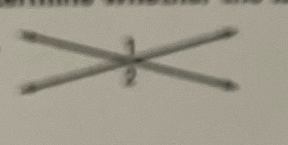 Determine whether the labeled angles are vertical
