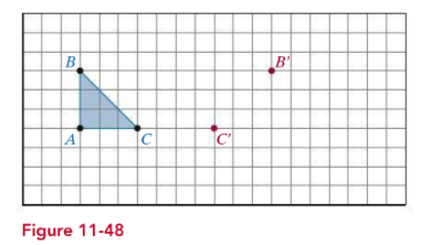 Chapter 6 (Please Include all the questions