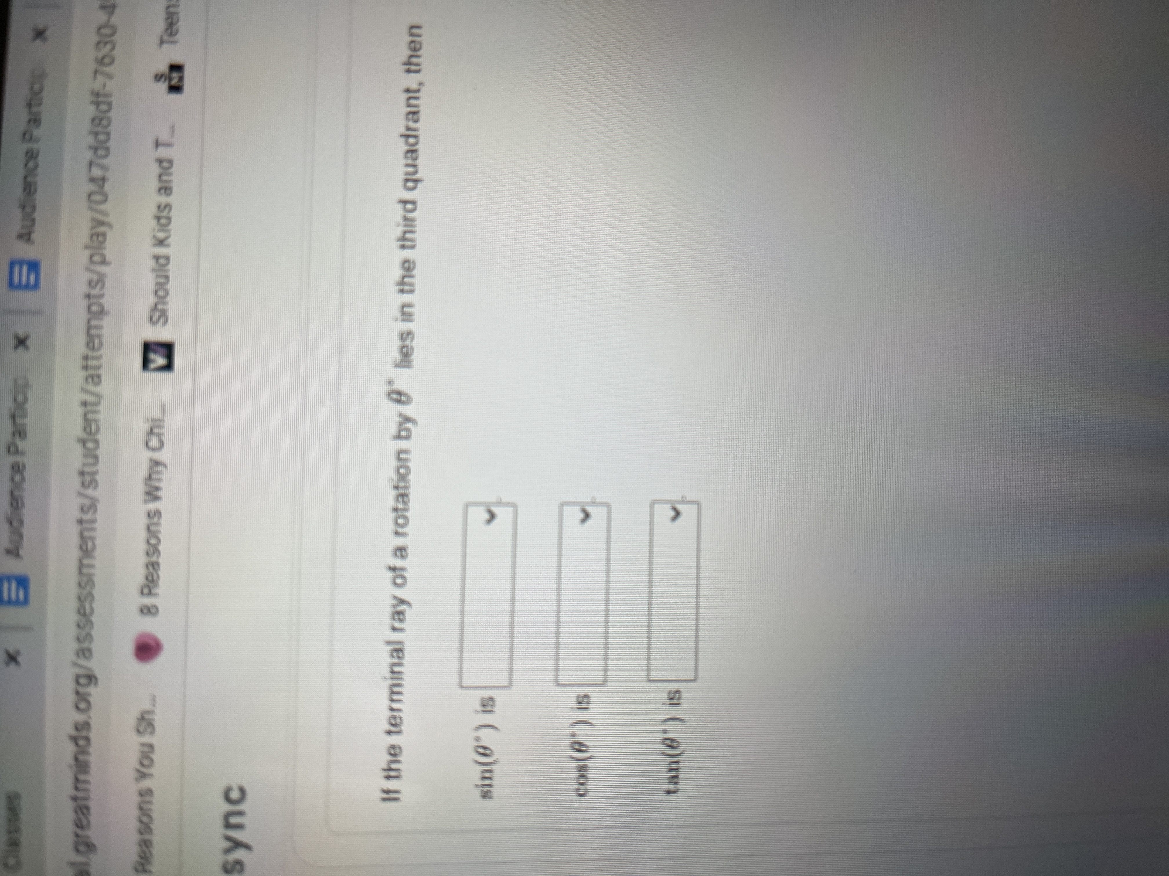 Audience Partior x Audience Particip x