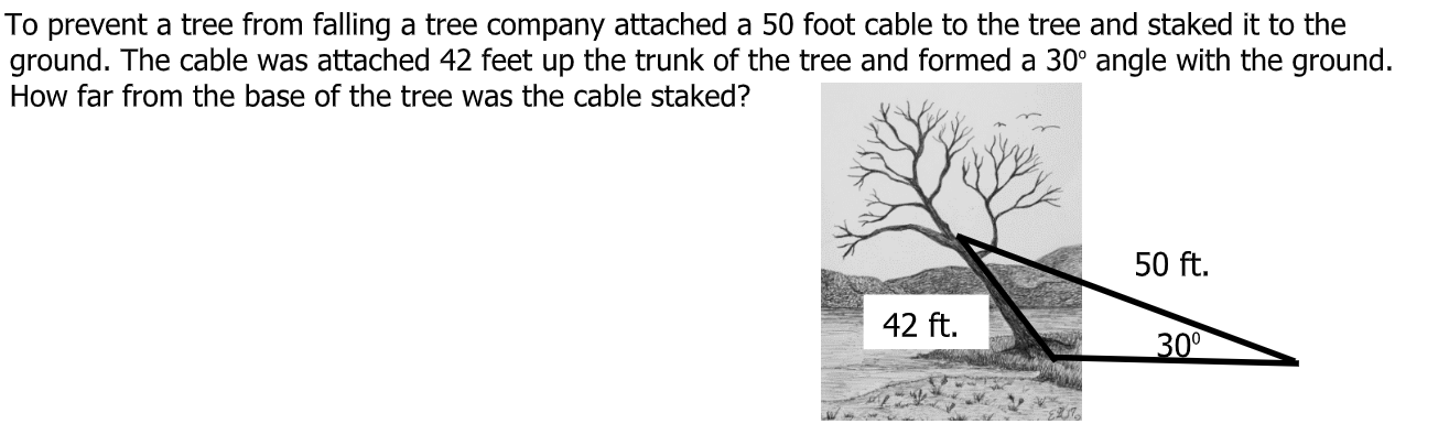 to prevent a tree from falling a tree company