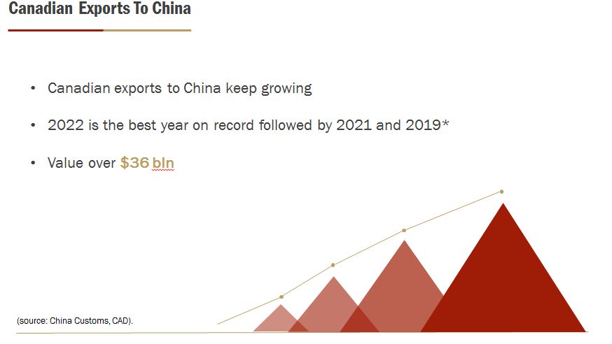 READ THE SUMMARY AND THEN ANSWER THE QUESTION .