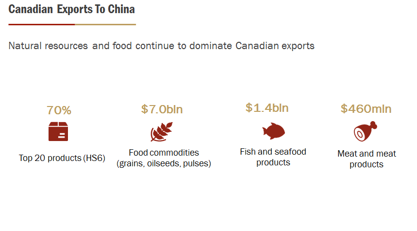 READ THE SUMMARY AND THEN ANSWER THE QUESTION .