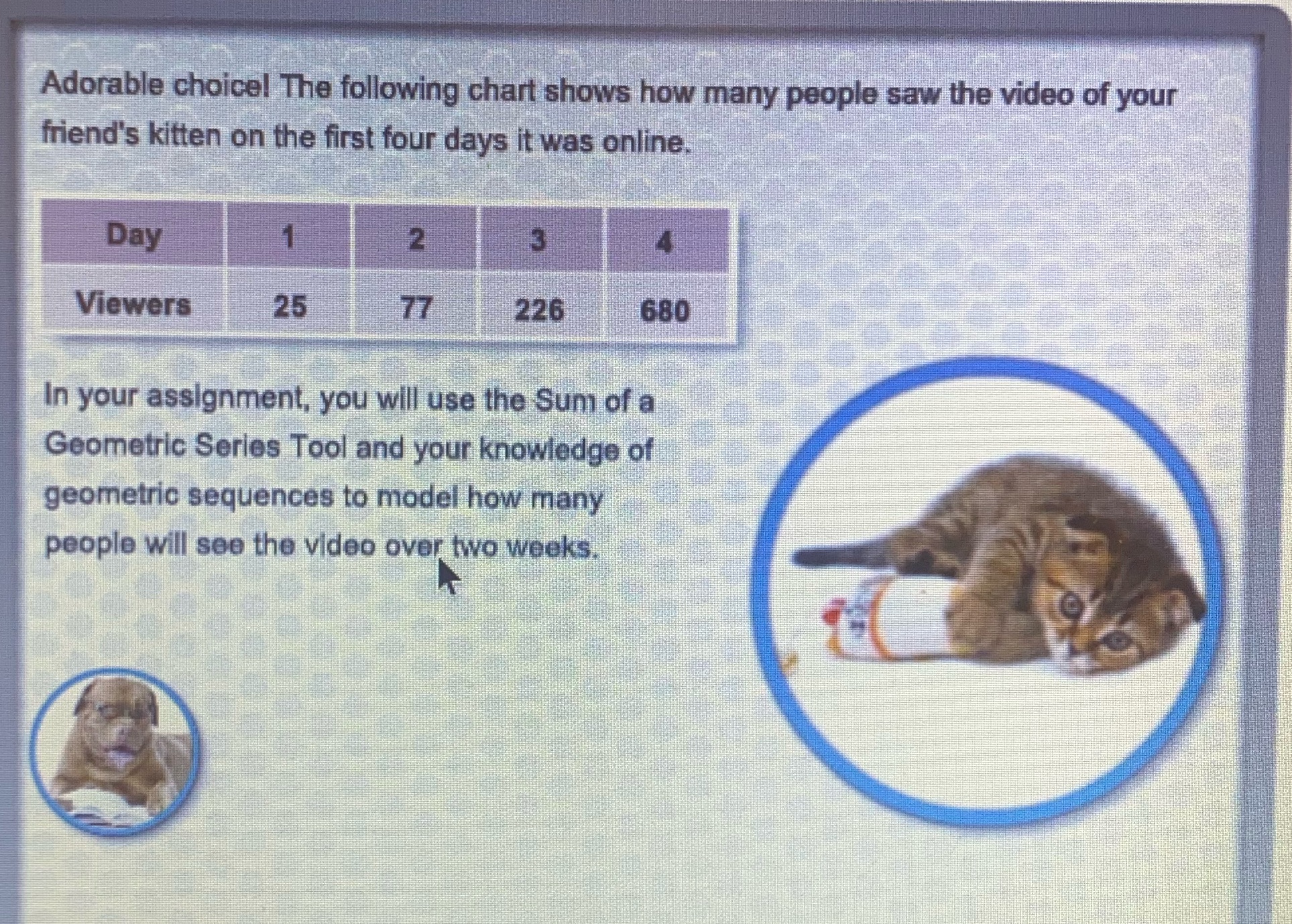 Adorable choice! The following chart shows how