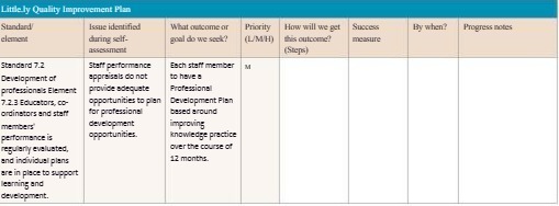 Little ly Quality Improvement Plan Standard Issue