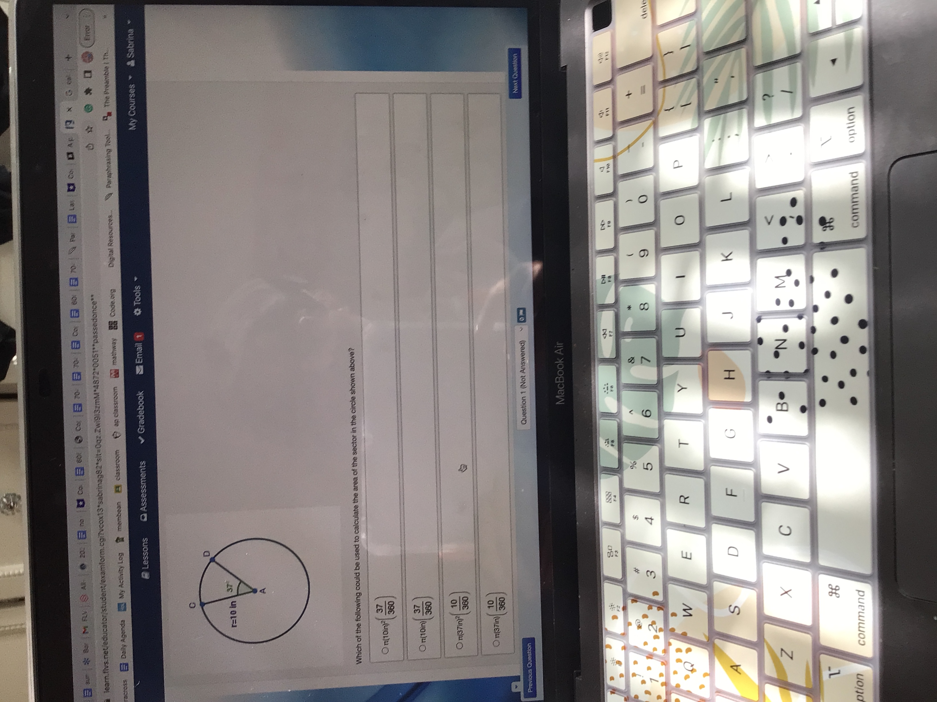 ext sun * Bor M FLV & All- 202 | no Col | 60t Cor