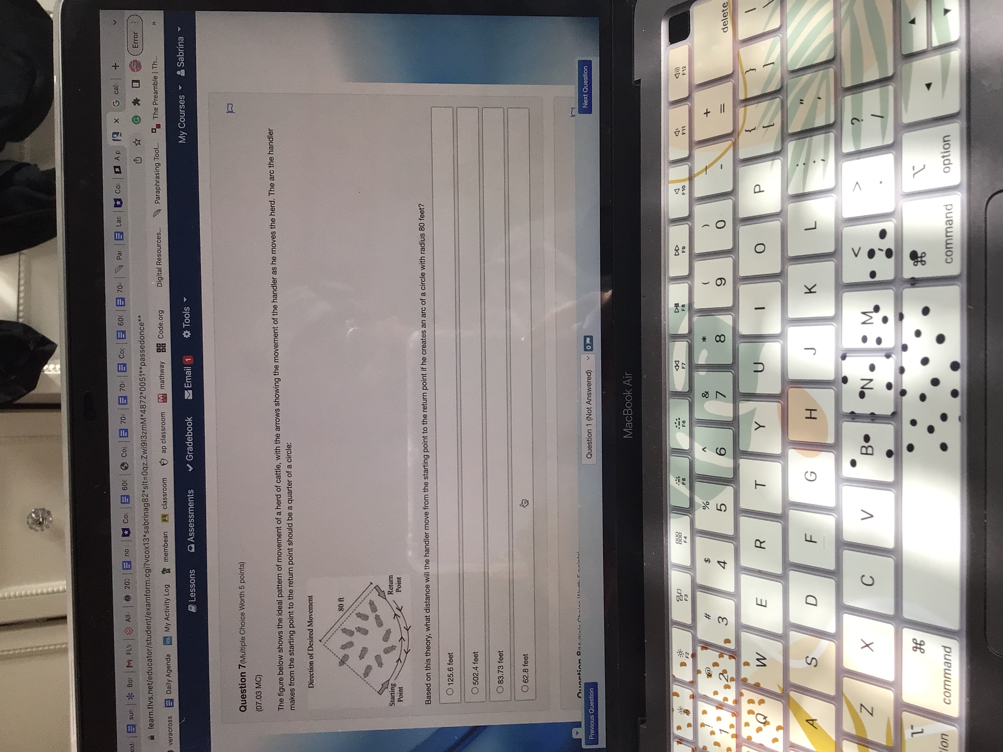 ext sun * Bor M FLV & All- 202 | no Col | 60t Cor