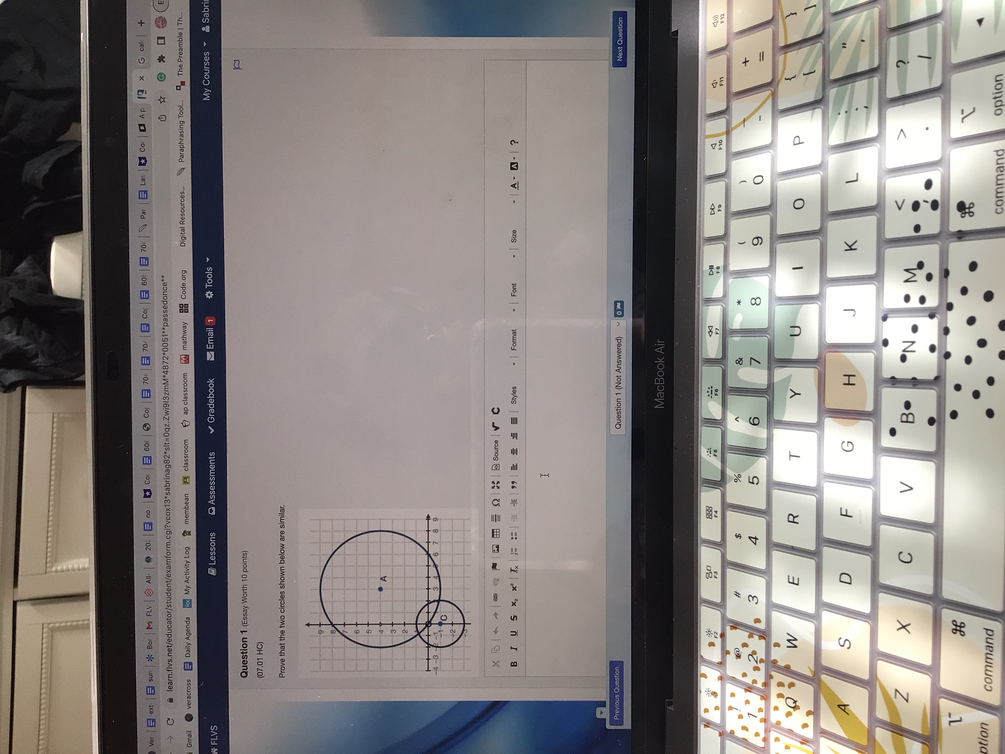 ext sun * Bor M FLV & All- 202 | no Col | 60t Cor