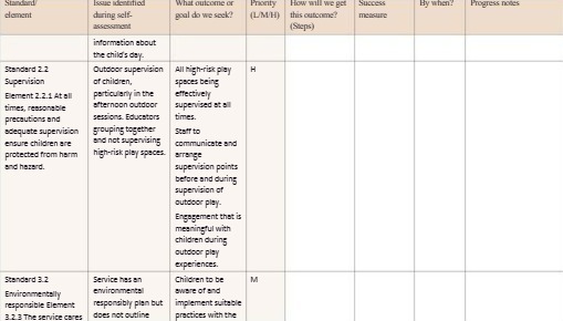 What outcome or Prionty How will we get By when?