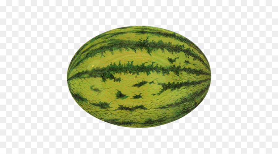 \fN ,2 X Minor Axis X 10 256 + 100 = 1 (0,0) X -5