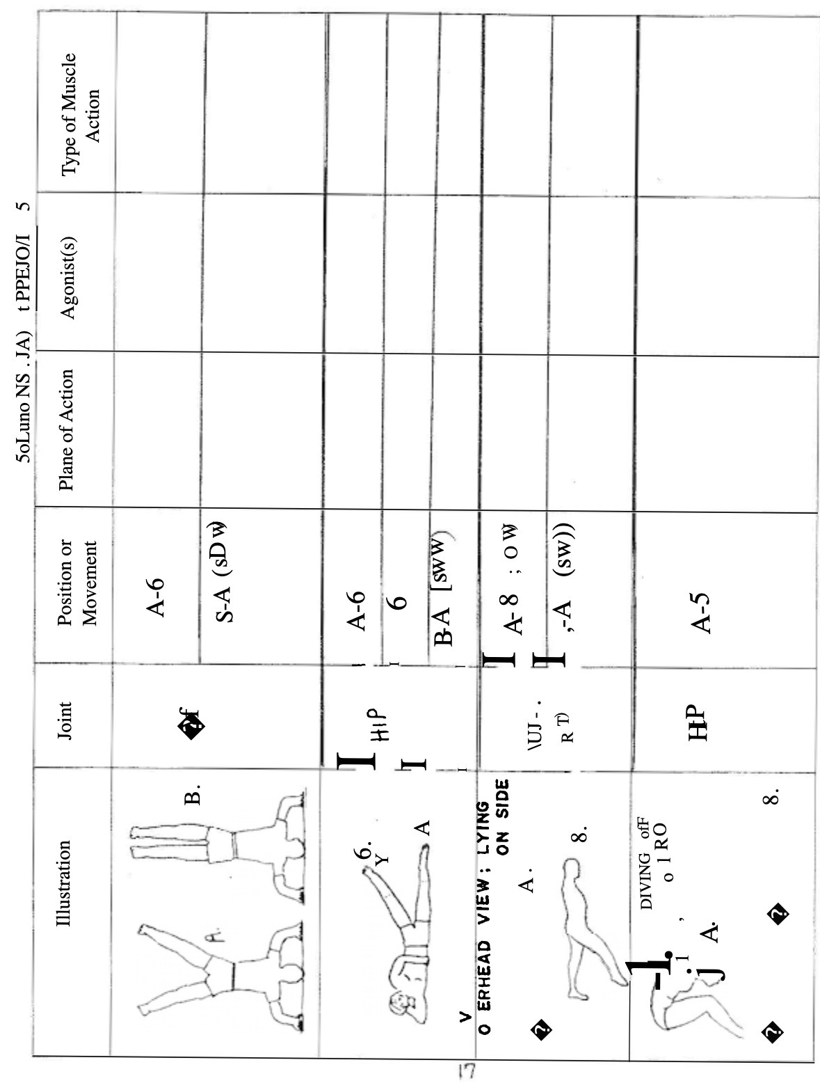 5oLuno NS . JA) tPPEJO/I 5 Illustration Joint