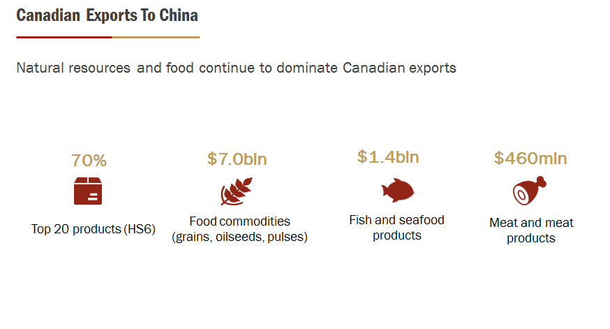 READ THE SUMMARY AND THEN ANSWER THE QUESTION .