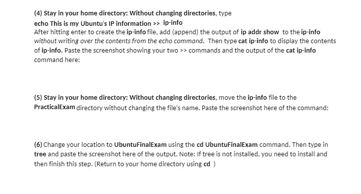 (4) Stay in your home directory: Without changing