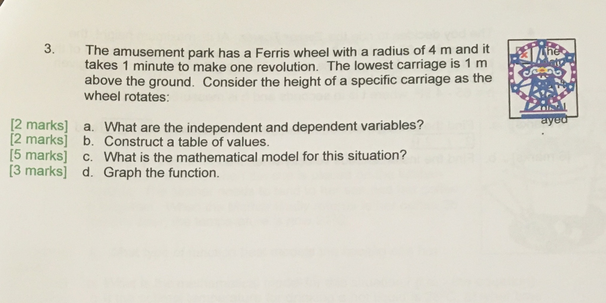 3. The amusement park has a Ferris wheel with a