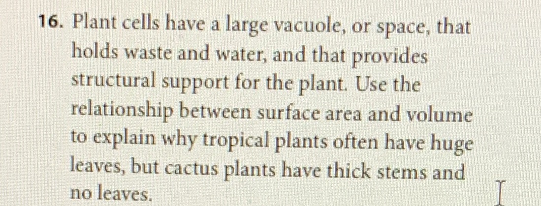 Volume of prisms 16. Plant cells have a large