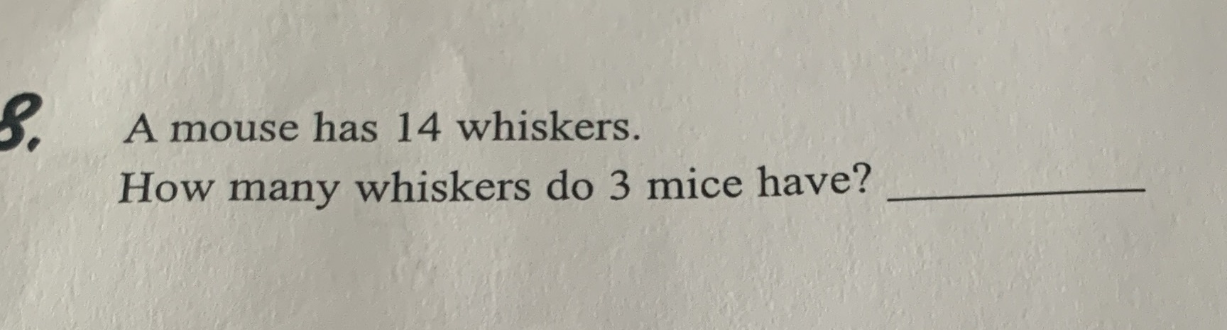 143 A mouse has 14 whiskers. How many whiskers do