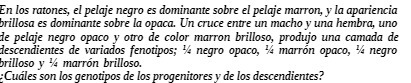 En los ratones, el pelaje negro es dominante