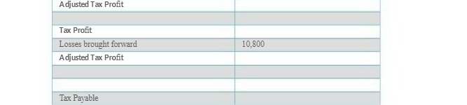 Adjusted Tax Profit Tax Profit Losses brought