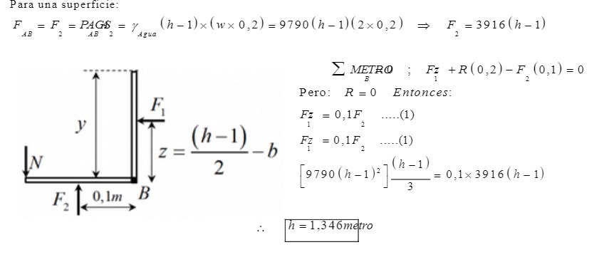 Para una superficie: F = F = PAGS = y (h - 1) x