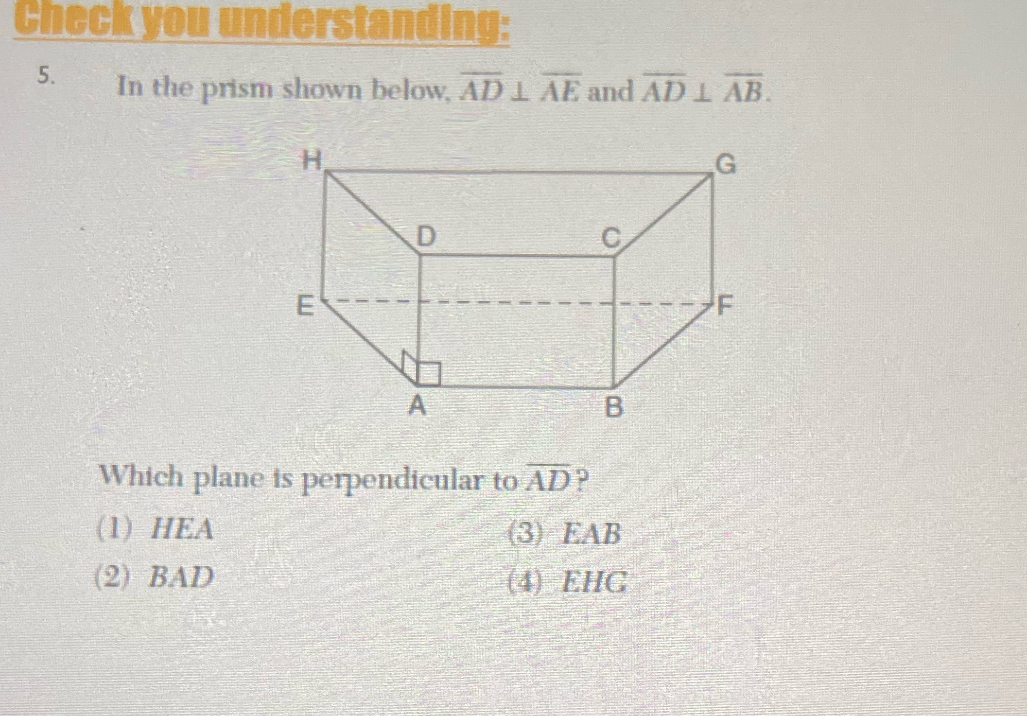 Check you understanding: 5. In the prism shown